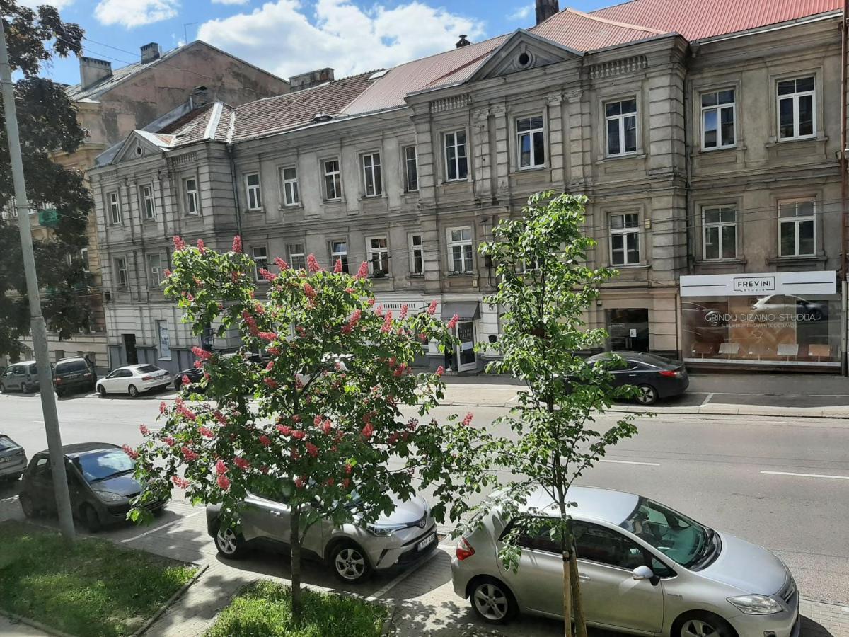 Centrally Located Cosy Studio Apartment *